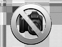 2020 TOYOTA Tacoma GRN305L